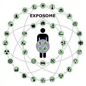 Exposome