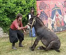 Le spectacle médiéval en 2009.