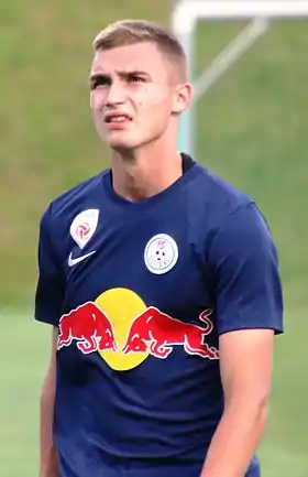 Image illustrative de l’article Peter Pokorný