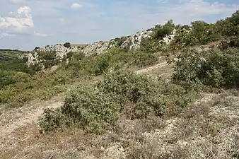 Vue de l'oppidum de la Roque sur la falaise donnant sur le Coulazou.