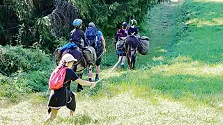 Rando avec des ânes.