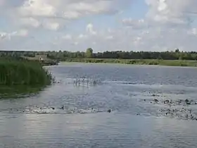 Image illustrative de l’article Lac Feder