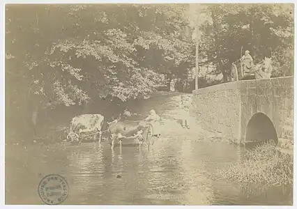 Fermière conduisant les vaches à l'Epte - septembre 1889