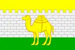 Drapeau de Tcheliabinsk