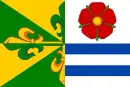 Drapeau de Dynín