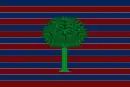 Drapeau de Floresta