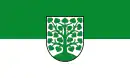 Drapeau de Hombourg