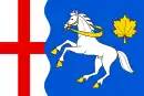 Drapeau de Javornice