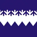 Drapeau de Kõue