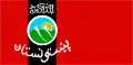 Drapeau du Pashtunistan (en) : le takbir y est inscrit au-dessus de l'emblème,.