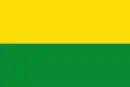 Flag of the Department of Vichada