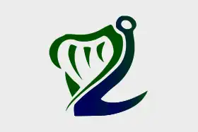 Drapeau de la garde côtière irlandaise