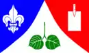 Drapeau de Negenharrie