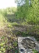 Le puits dans son environnement.