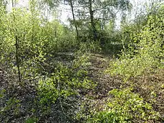 Le puits dans son environnement.