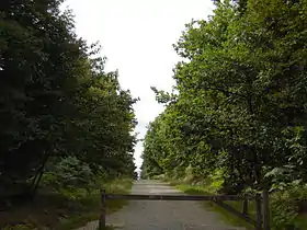 Image illustrative de l’article Forêt de la Corbière