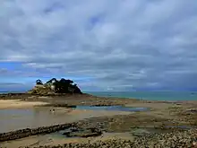Le Fort du Guesclin à marée basse