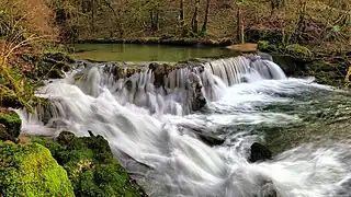 Barrage de la Touvière sur la Brême.