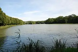 L'étang du bois du Landais en 2008.