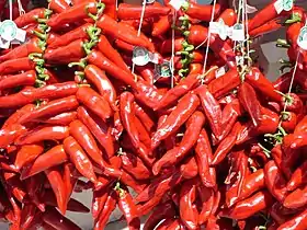 Image illustrative de l’article Piment d'Espelette