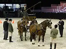 Un attelage entouré par des gens.