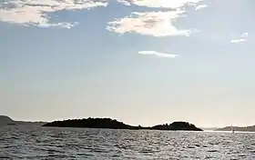 Image illustrative de l’article Fugløya