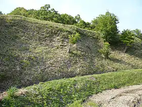 Image illustrative de l’article Château de Fukui (Osaka)