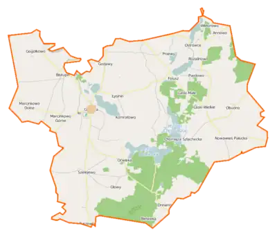 Localisation du village au sein de la gmina Gąsawa.