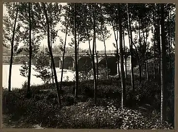 Forêt riparienne et pont sur le Pô à Moncalieri, province de Turin, photographiés en mai 1930.