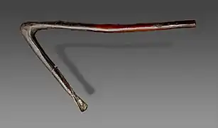 Herminette Sénégal.