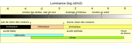 Les domaines de vision