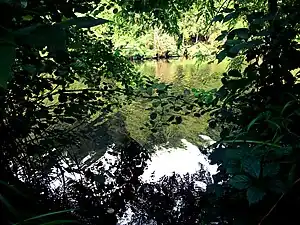 Montmorillon en 2012.