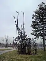 Girafes, 1967Île Sainte-Hélène