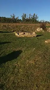 Un gisant dans une pelouse au pied d'un petit talus