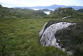 Du gneiss affleurant à South Rona.