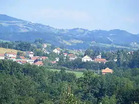 Goračići