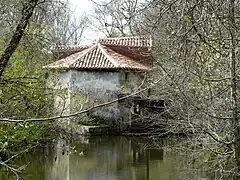Le moulin de Rochereuil.