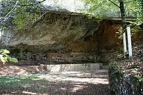 Savignac-de-Miremont