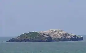 Vue de Grassholm. Sur la droite de l'île, se trouvent les fous de Bassan.
