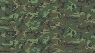 Motif de camouflage ERDL "basses terres" à dominante verte