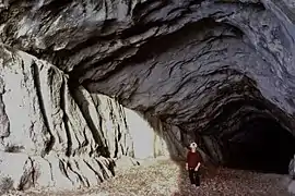 Tube d'entrée de la grotte Favot.
