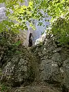 Accès à la grotte du Mémont.