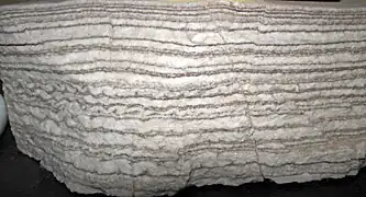 Empilement de couches de gypse (gris clair) et de calcite (brun foncé). Formation Castile&nbsp;(en), Nouveau-Mexique (États-Unis).