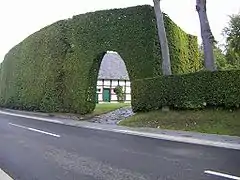Haie taillée en mur végétal dont la fonction est seulement séparative ; en Allemagne.