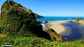 Brookings (Oregon)