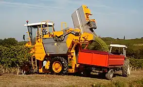 Photographie en couleur montrant une machine à vendanger jaune qui vide ses godets de récolte dans une remorque de transport orange attelée à un tracteur. Il s'agit de raisin blanc qui coule d'un des godets en position haute. L'herbe en bordure de vigne est rase et jaunie par la sécheresse ; la vigne est encore verte, mais montre quelques feuilles jaunissantes, signe du tournant entre l'été et l'automne.