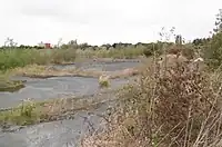 Friche de l’ancienne usine Lever (septembre 2019)