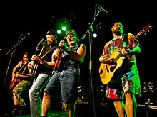 Hayseed Dixie en concert