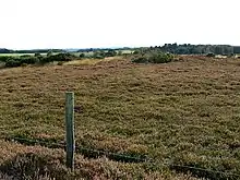 Photo d'une lande rase à bruyères rose pâle en floraison, avec au premier plan un piquet en bois sur lequel s'accrochent trois rangées de fil de fer barbelé.