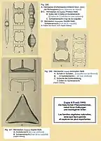 Hemiaulus KittoniiH. ProteusH. hostilisH. reginaH. exscuptus(d'après Engler et Prantl)